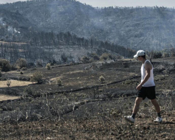 Deadly France wildfire grows past the size of Paris