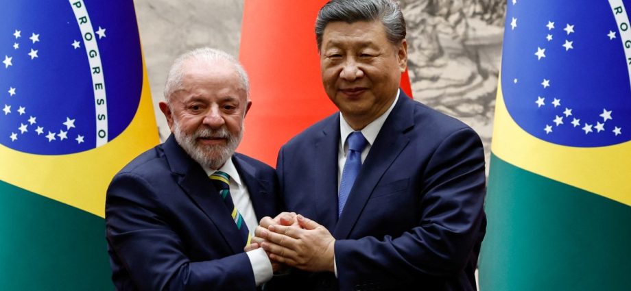 china,-brazil-can-be-models-of-‘self-reliance’-for-global-south,-xi-says