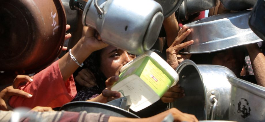 ‘my-studies,-my-life’:-war-leaves-gaza-students-hungry-and-out-of-school