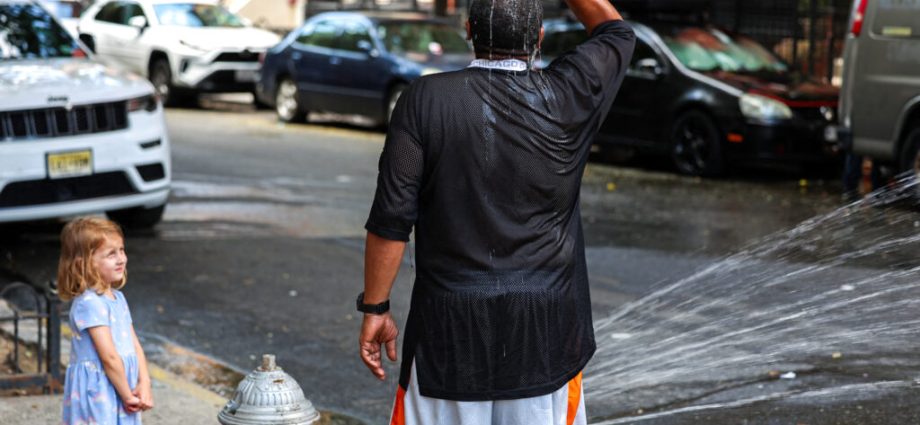 broiled-by-heat-waves,-residents-of-the-concrete-jungle-suffer