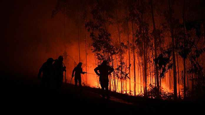 wildfire-near-madrid-kills-one-as-fires-burn-across-spain