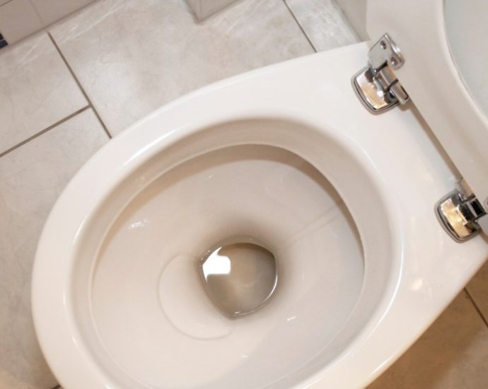 horrifying-discovery-in-toilet-lands-woman-in-er