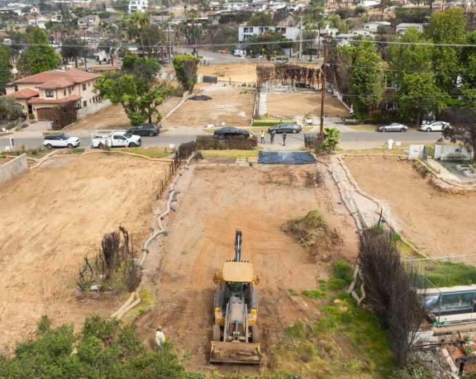 scientists-argue-for-stricter-lead-soil-contamination-standards.-what-fire-survivors-should-know