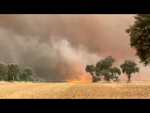 wildfires-fanned-by-heatwave-rage-across-europe,-forcing-evacuations-|-reuters