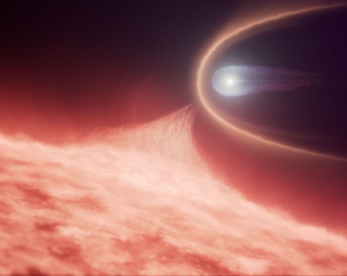 NASA’s Hubble Uncovers Rare White Dwarf Merger Remnant
