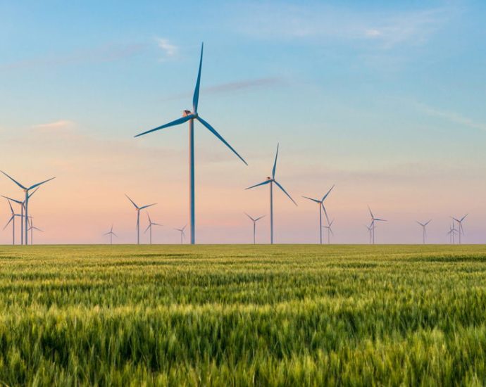 white-house-ramps-up-attacks-on-wind