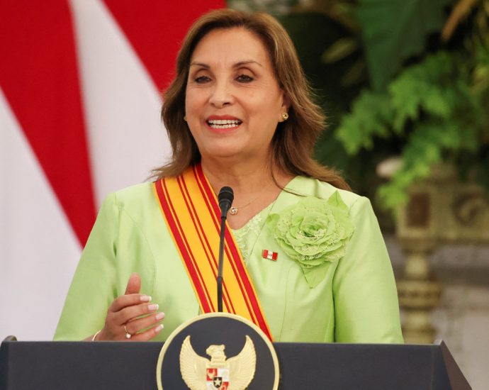 president-dina-boluarte-signs-into-law-peru’s-amnesty-bill-despite-outcry