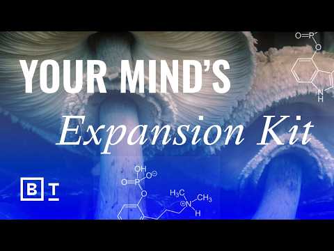 3-experts-reveal-how-psychedelics-can-expand-the-walls-of-perception