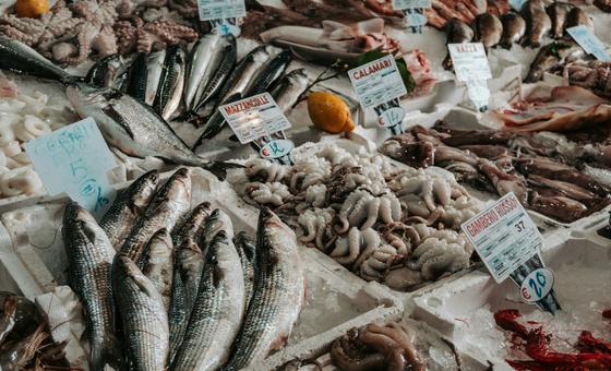 how-nuclear-technology-can-help-fight-seafood-fraud