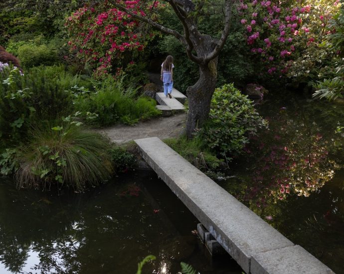 Embracing Mother Nature’s City: Seattle
