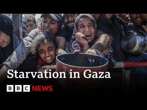 israel-blocking-aid-into-gaza,-humanitarian-agencies-say-|-bbc-news