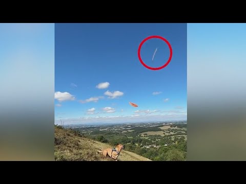 video-of-‘ufo’-behind-dog-has-mundane-explanation:-luis-elizondo-|-cuomo