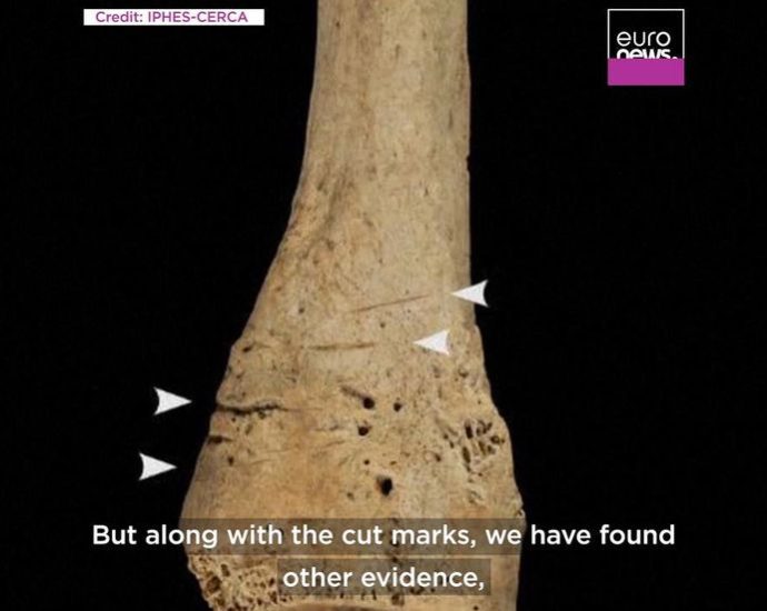 ancient-discovery-proves-disturbing-practice-was-far-more-common-than-previously-thought