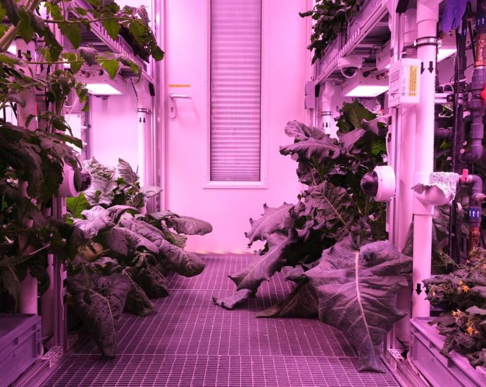 Was in cooked in space? A space food-themed quiz!