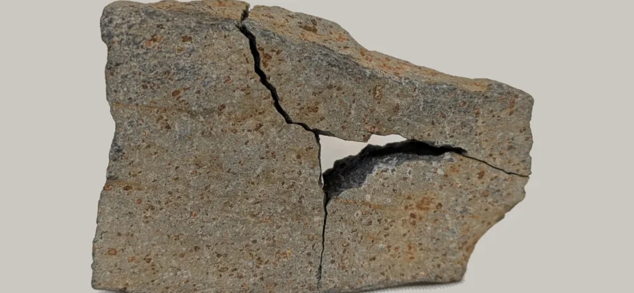 strange-spotted-rock-on-mars-could-reveal-signs-of-ancient-life