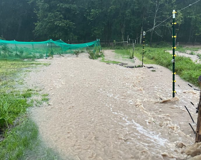 after-a-drought-last-year,-ohio-farmers-wished-for-rain.-now-downpours-are-destroying-their-crops
