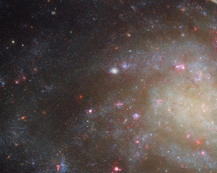 Hubble Examines Low Brightness, High Interest Galaxy