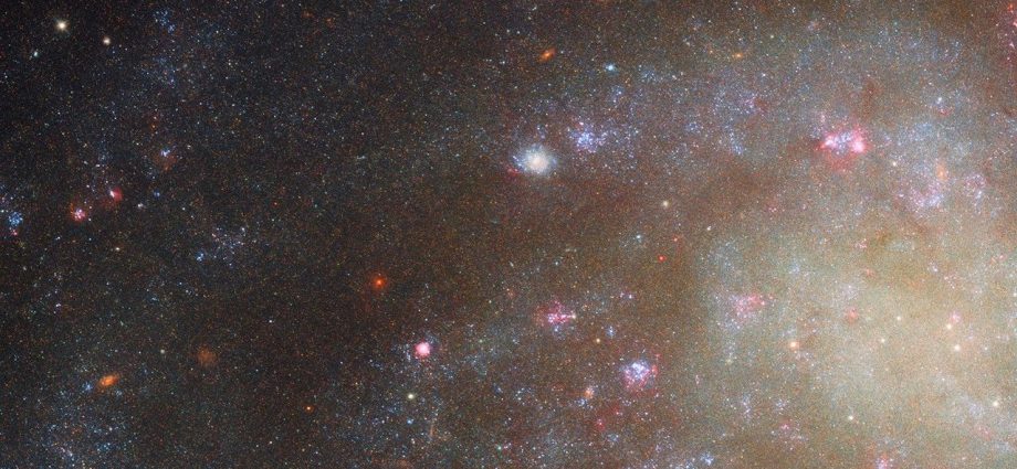 Hubble Examines Low Brightness, High Interest Galaxy