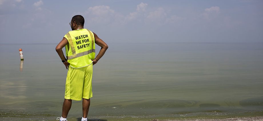 toxic-algae-season-is-back-—-and-the-traitor-has-cut-safeguards