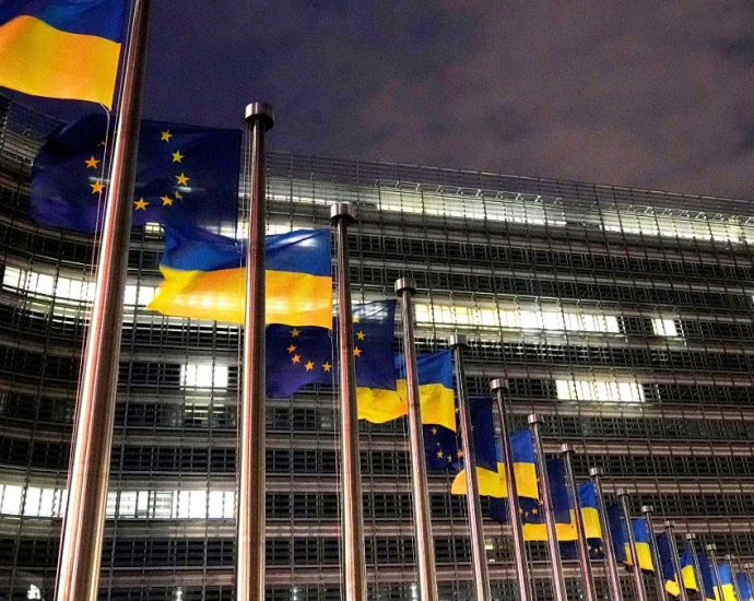 european-leaders-stress-unity-with-ukraine-ahead-of-washington-summit