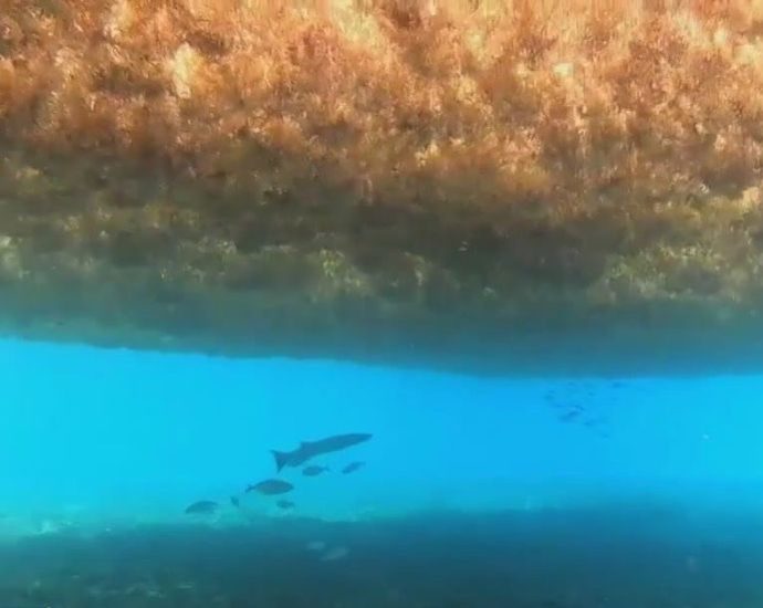 there-is-one-sea-on-earth-that-doesn’t-touch-any-land-at-all