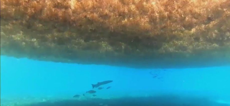 there-is-one-sea-on-earth-that-doesn’t-touch-any-land-at-all