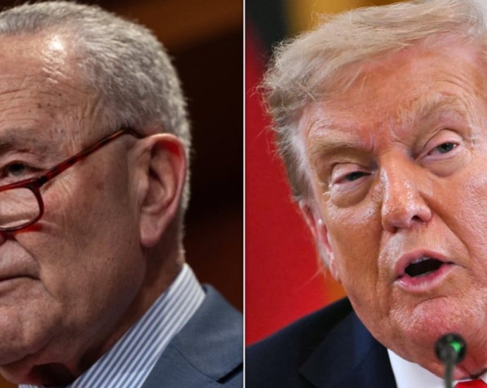 schumer-rips-the-traitor’s-bid-to-end-mail-in-ballots,-voting-machines