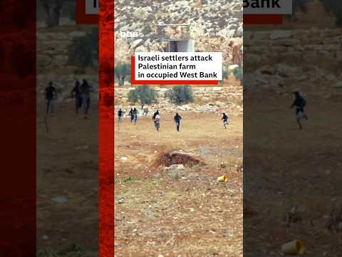 moment-israeli-settlers-attack-palestinian-farmland-in-west-bank.-#bbcnews