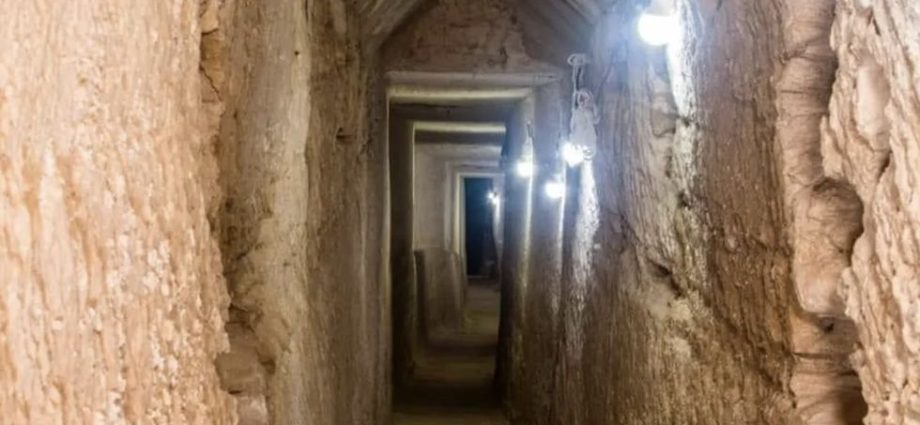 archaeologists-discover-‘miracle’-in-ancient-egyptian-tomb