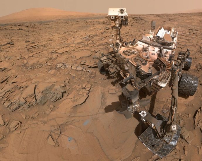 Wheelie smart? Take our Mars rover quiz to prove it!
