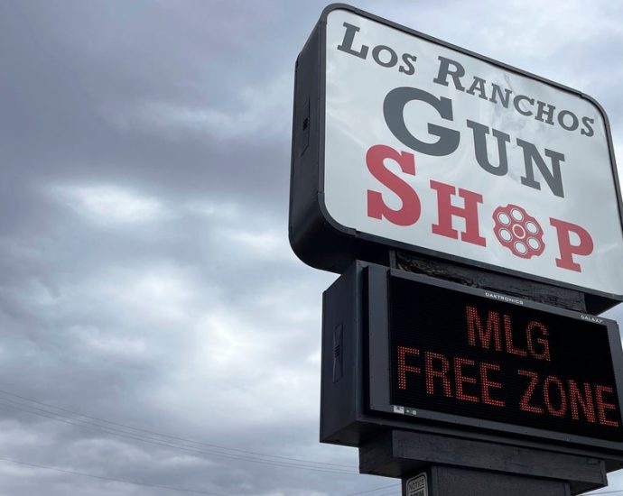 new-mexico’s-7-day-waiting-period-on-gun-purchases-blocked-by-appeals-court
