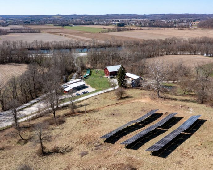 the-us-department-of-agriculture-bans-support-for-renewables,-a-lifeline-for-farmers