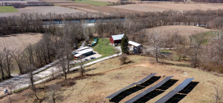 the-us-department-of-agriculture-bans-support-for-renewables,-a-lifeline-for-farmers