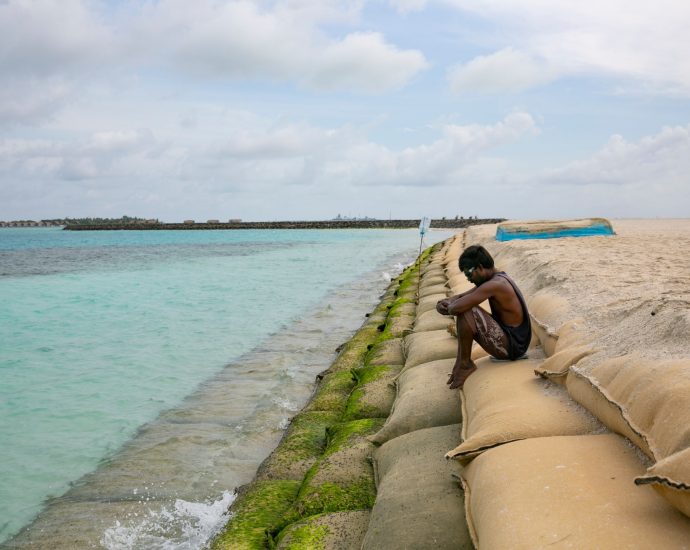 to-close-the-climate-finance-gap,-let-vulnerable-nations-use-carbon-markets