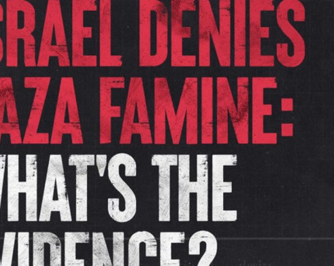 israel-denies-gaza-famine:-what’s-the-evidence?