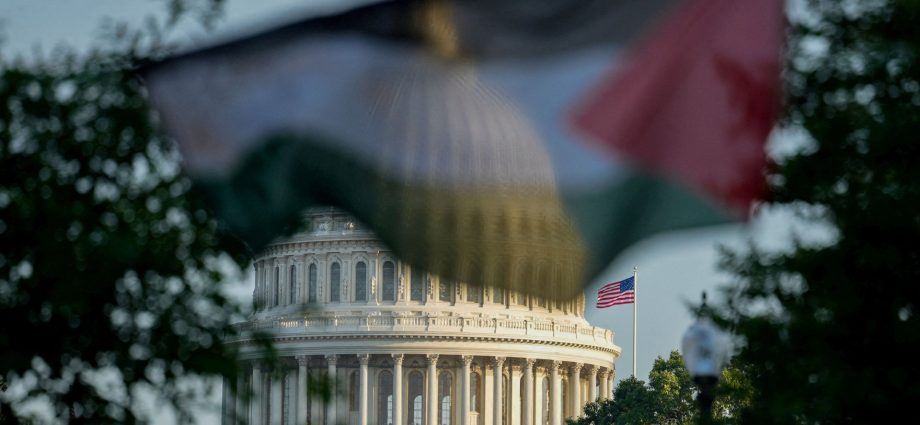 most-americans-support-international-recognition-of-palestine:-poll