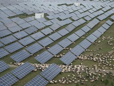 china-races-to-build-world’s-largest-solar-farm-to-meet-emissions-targets