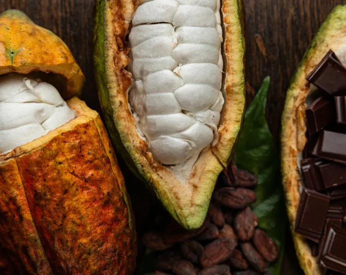 scientists-finally-crack-the-secret-to-perfect-chocolate-flavor