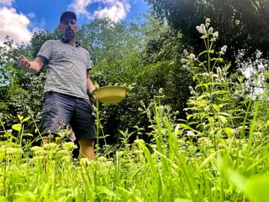 a-berlin-garden-of-flavorsome-herbs-revives-a-monastic-health-tradition