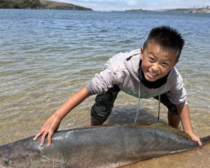 whale-of-a-catch:-potential-record-setting-64-pound-white-sea-bass-hooked-by-13-year-old-boy