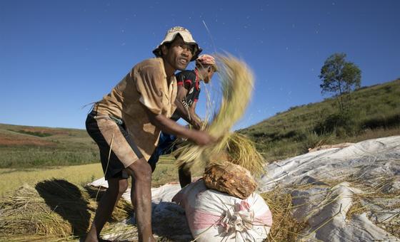 un-agencies-warn-of-rising-heat-stress-risks-for-workers-worldwide
