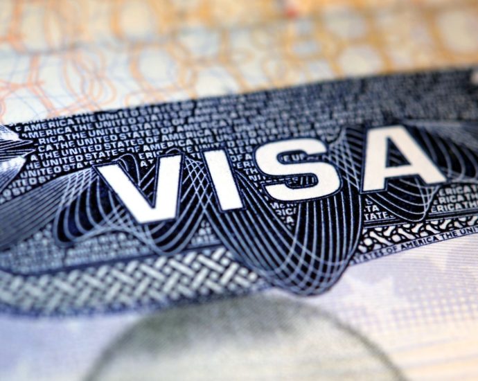 ‘continuous-vetting’:-the-traitor-admin-to-audit-55-million-visa-holding-us-residents