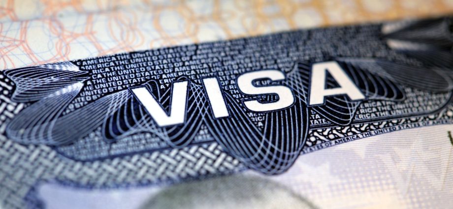 ‘continuous-vetting’:-the-traitor-admin-to-audit-55-million-visa-holding-us-residents