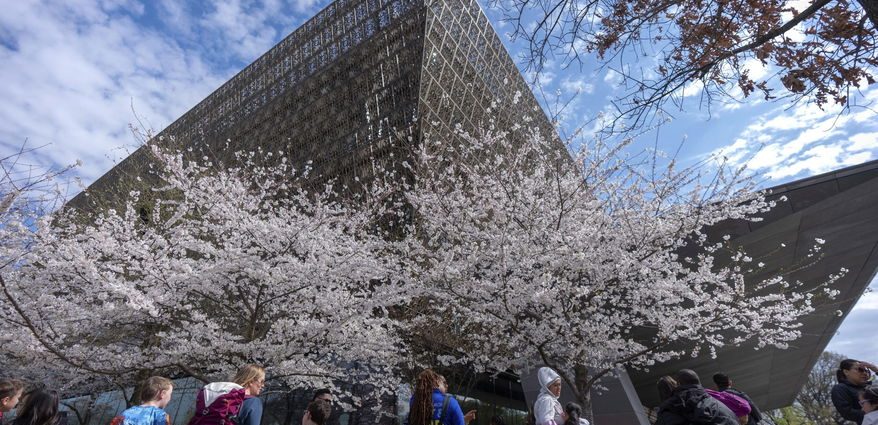 on-the-smithsonian-and-slavery
