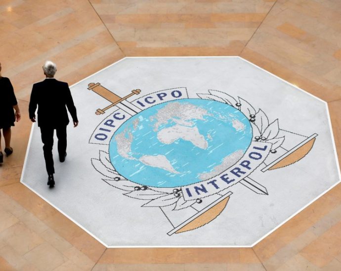large-interpol-cybercrime-crackdown-in-africa-leads-to-the-arrest-of-over-1,200-suspects