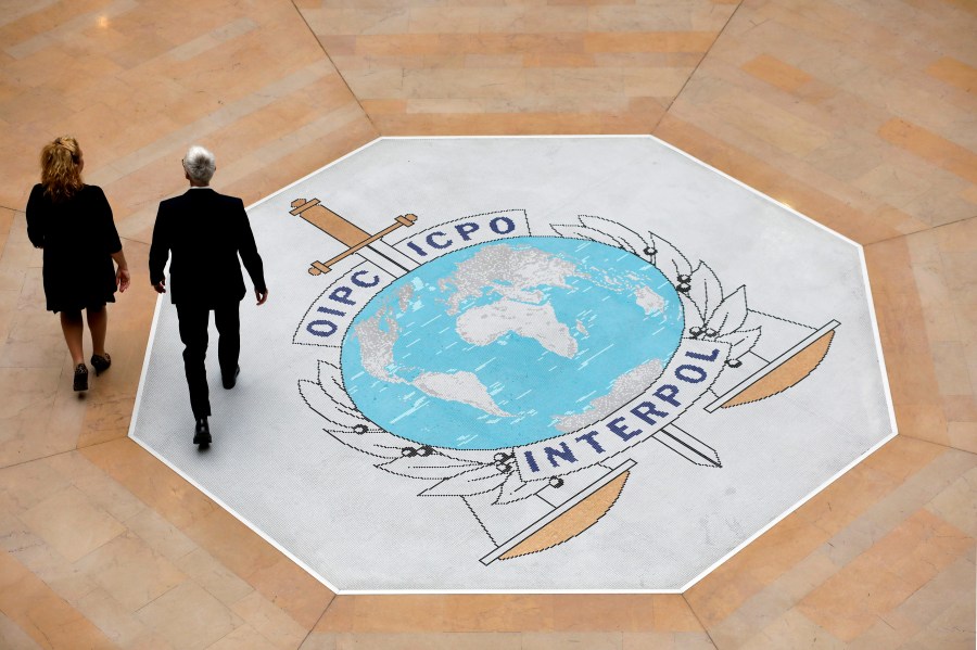large-interpol-cybercrime-crackdown-in-africa-leads-to-the-arrest-of-over-1,200-suspects