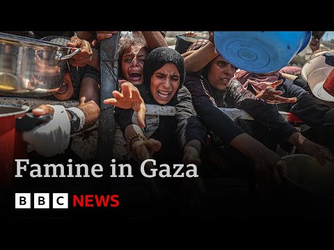 famine-in-gaza-is-“failure-of-humanity”-says-united-nations-|-bbc-news