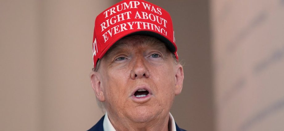 the-traitor-makes-wild-claim-about-‘african-american-ladies’-during-chicago-crackdown-ramble