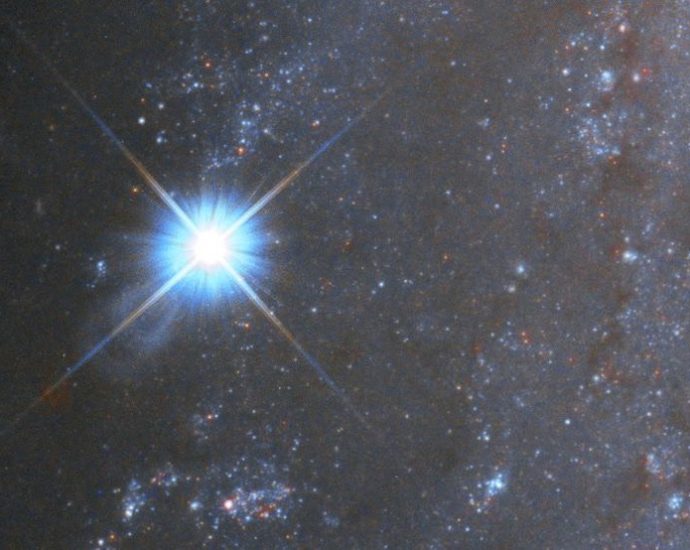 watch-the-moment-a-star-brightly-‘self-detonates’-in-nasa-video