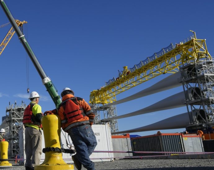 the-traitor-administration-halts-work-on-an-almost-finished-wind-farm